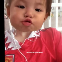 tg cutii nèe