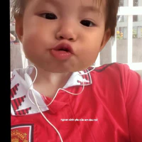 tg cutii nèe