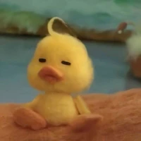 Hejoo
