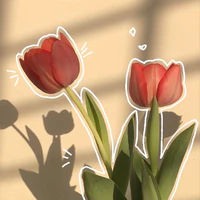 quễ tác giả mới nhú