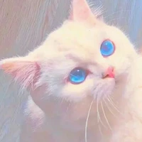 xiao