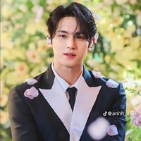 Kim Mingyu(Mingyu)