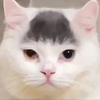 tg