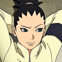 Nara Shikadai