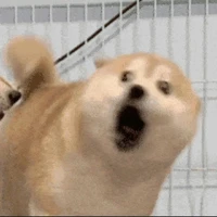 nổi hứng là làm còn không thì thôi