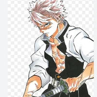 sanemi shinazugawa