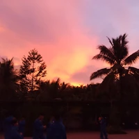 Anh Em nhà Họ Chu