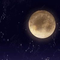 các zợ thái tử