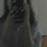 Tg siêng năng