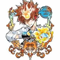 Sawada Tsunayoshi (Vongola Decimo)