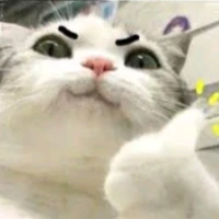 tất cả m.n(trừ ai thì trừ)