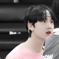 Tô Tân Hạo (Y)