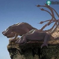 Mizg loại côn trùng