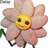 Daisy