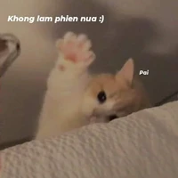 nhân vật phụ
