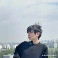 Giản Dương/CK_Sunflower