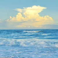 sɪɴᴄᴇɴоᴇʟდ - Author