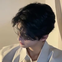Vương Gia Bảo