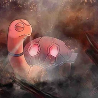 𝐂𝐨𝐭𝐨𝐢𝐬𝐞