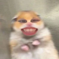 Bạn tác giả mỏ hỗn