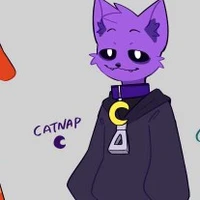 catnap