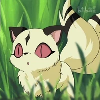 Kirara