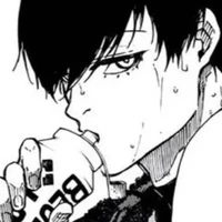 Rin Itoshi