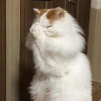 bộ này ko ngược yên tâm