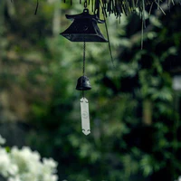 BÁCH GIA BỊ HƯ NÃO