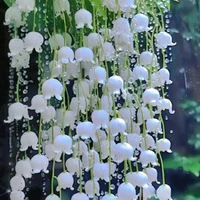 mọi người