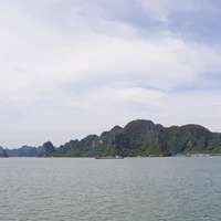 mấy anh công