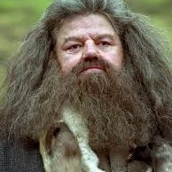 Rubeus Hagrid