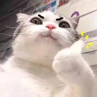 Tất cả vị Thần