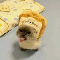 Tác giả là con dợ của ZuoHang