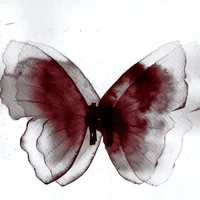 Call me 𝐌𝐚𝐫𝐢𝐬