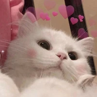 Winny_Tác giả
