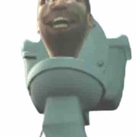 Flying toilet