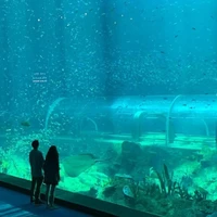 tác giả vui tính