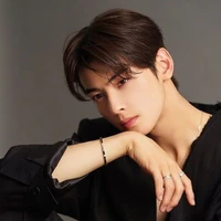 Cha Eun Woo