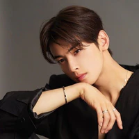 Cha Eun Woo
