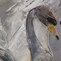 cân mọi loại vai