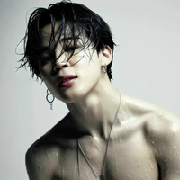 Shin (TG)