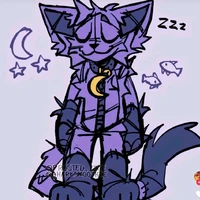 🌜Catnap🌛