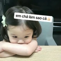 Tác giả siu "chăm chỉ" đay