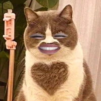 con nhỏ chờ ngày OTP động phòng