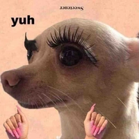 hệ thống của Rin đẹp troai✨