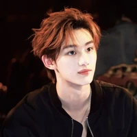 Đinh Trình Hâm