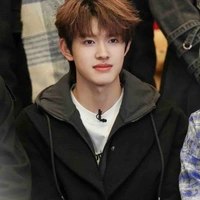 Trương Cực