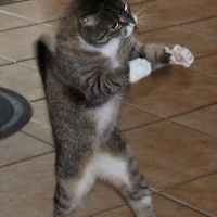 tg khùng điên👉👈