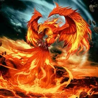 Tiểu phụng- phượng hoàng cổ 